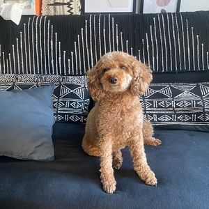 Meet your Posher, Eric